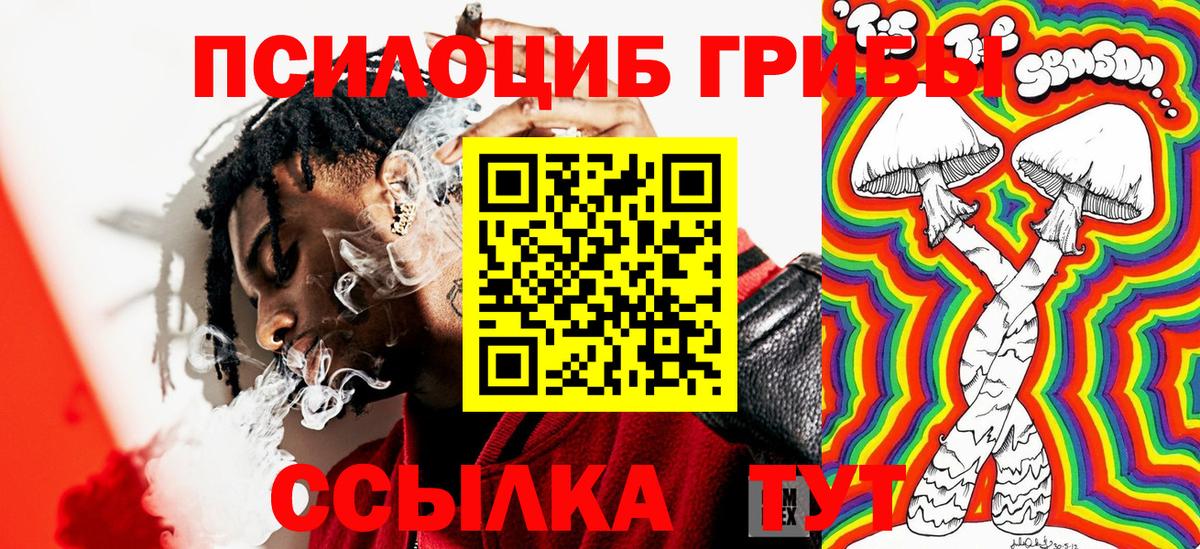 что такое   Вход с VPN  Шуя  Псилоцибиновые грибы Magic Shrooms 