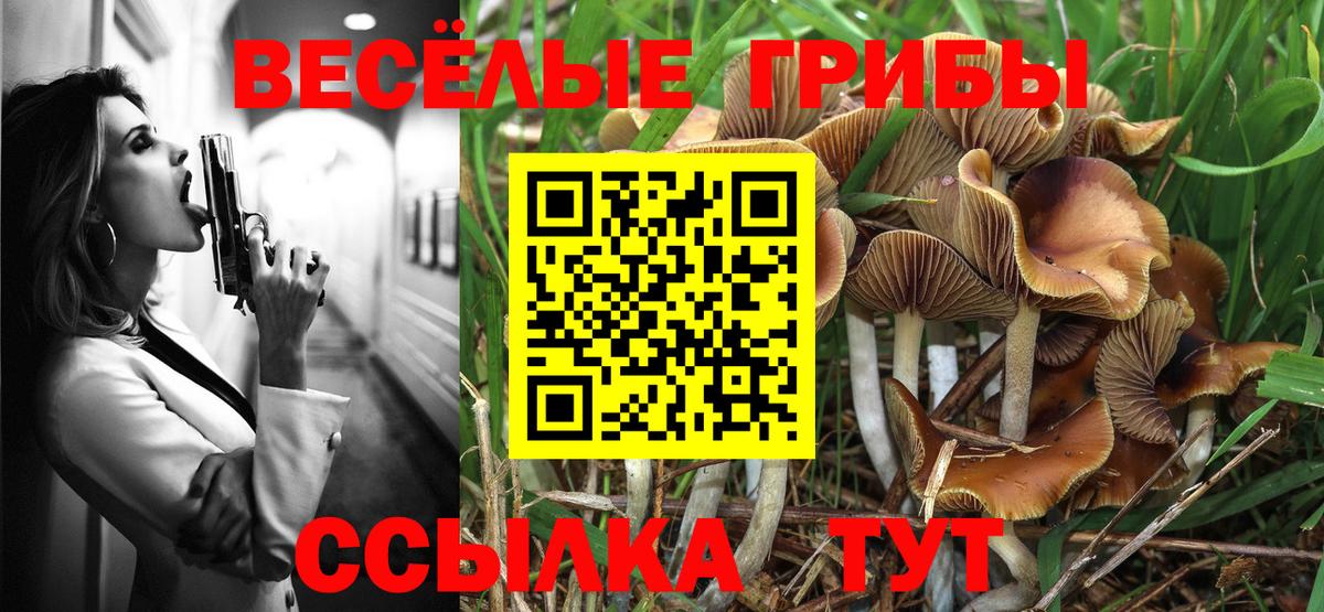 Псилоцибиновые грибы Cubensis Шуя
